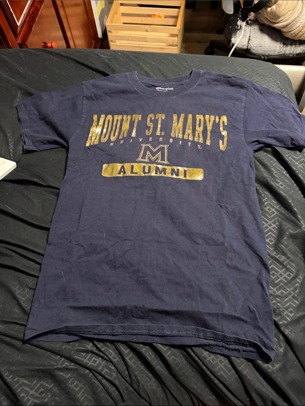 Champion Navy Mount St. Mary's Alumni Short-Sleeve Tee